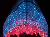 Festival des lumi&egrave;res au Jardin des Plantes de Paris