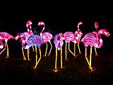 Festival des lumi&egrave;res au Jardin des Plantes de Paris
