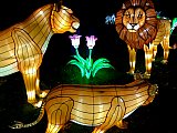 Festival des lumi&egrave;res au Jardin des Plantes de Paris