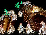 Festival des lumi&egrave;res au Jardin des Plantes de Paris
