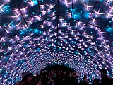 Festival des lumi&egrave;res au Jardin des Plantes de Paris