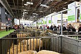 Salon de l'Agriculture 2020