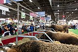 Salon de l'Agriculture 2020
