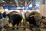 Salon de l'Agriculture 2020