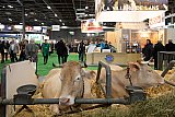Salon de l'Agriculture 2020