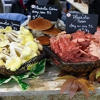 Salon international de l'agriculture — Int' l Agricultural Show